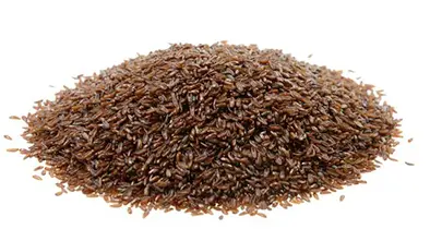 Babka płesznika